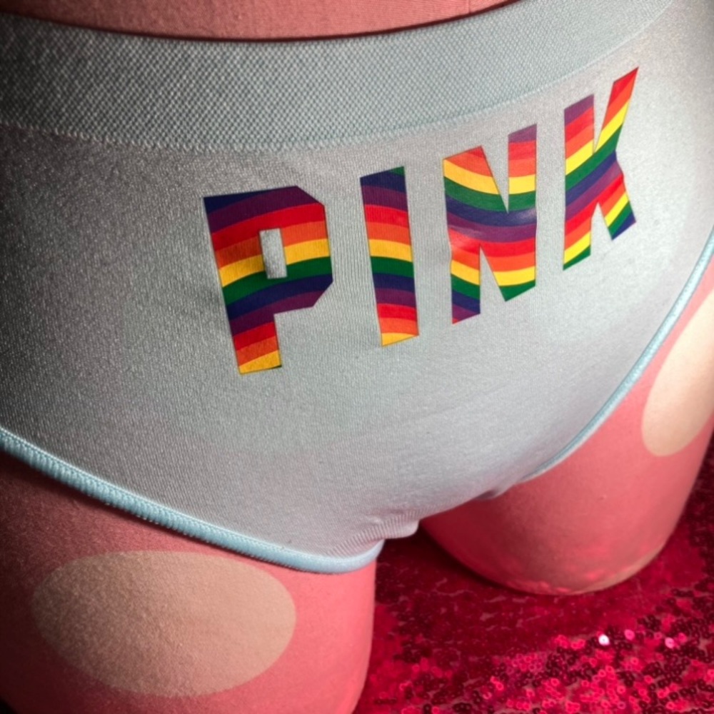 Victoria’s Secret Pink Thong Rainbow Pride Logo LGBT Size XXL Panty vspink NWT